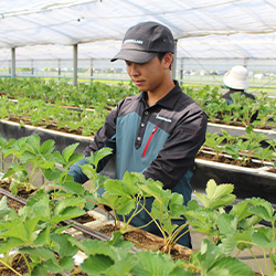 小松原　勇の写真